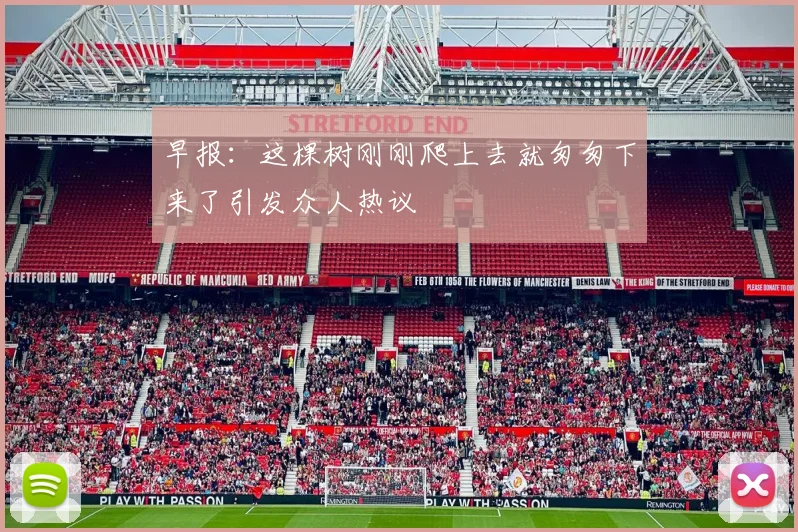 早报：这棵树刚刚爬上去就匆匆下来了引发众人热议