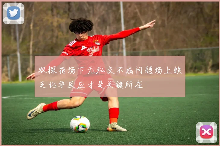 双探花场下无私交不成问题场上缺乏化学反应才是关键所在